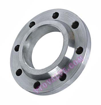 ITALY Standard Flanges (2)